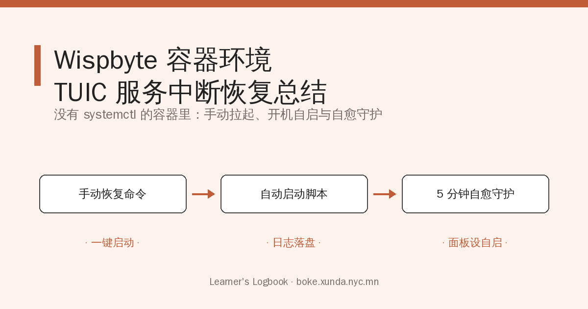Wispbyte（ MC-Servers 容器环境）TUIC 服务中断恢复总结
